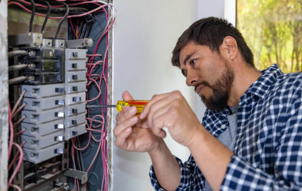 Best Generator Installation Services  in Long Creek, IL